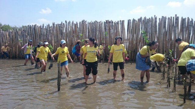 โครงการปลูกป่าชายเลน ณพื้นที่ปลูกป่าชายเลน สถานตากอากาศบางปู