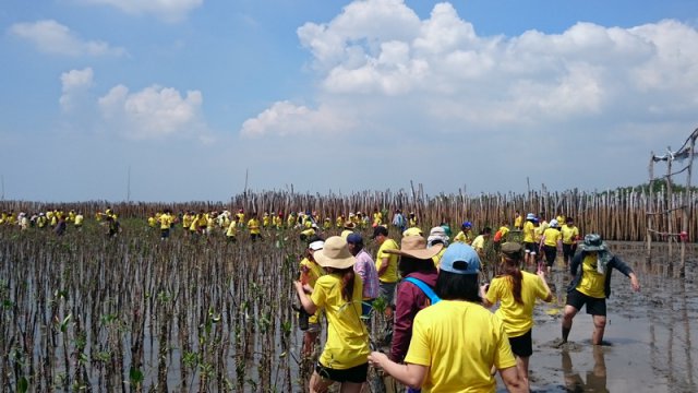 โครงการปลูกป่าชายเลน ณพื้นที่ปลูกป่าชายเลน สถานตากอากาศบางปู