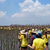 โครงการปลูกป่าชายเลน ณพื้นที่ปลูกป่าชายเลน สถานตากอากาศบางปู