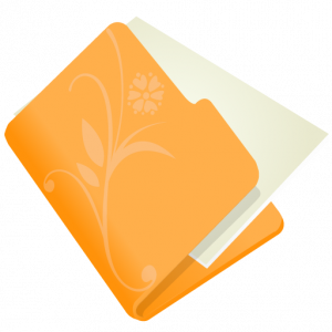 orange-300x300