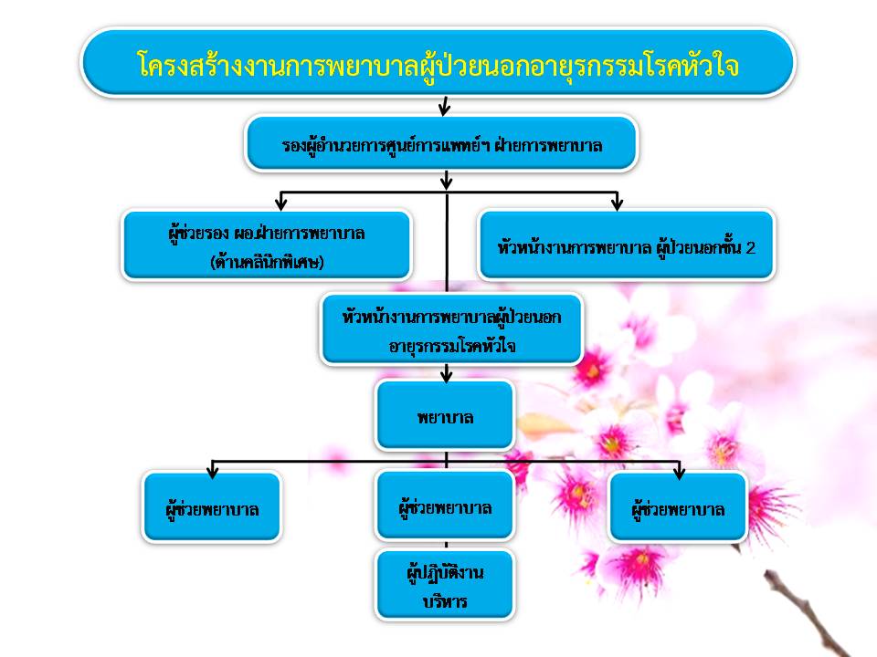 organization OPD.CARDIO