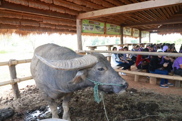โครงการค่ายรวมพลังฟันเฟืองศูนย์การแพทย์ฯ