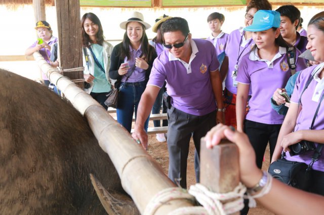โครงการค่ายรวมพลังฟันเฟืองศูนย์การแพทย์ฯ