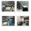 ฺBig Cleaning Day กค.61