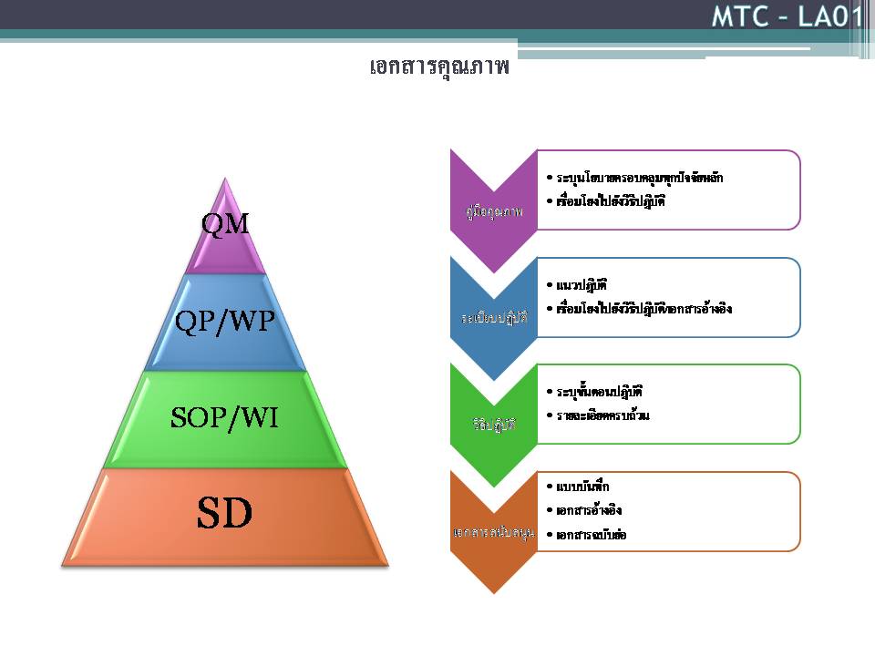 ภาพนง11