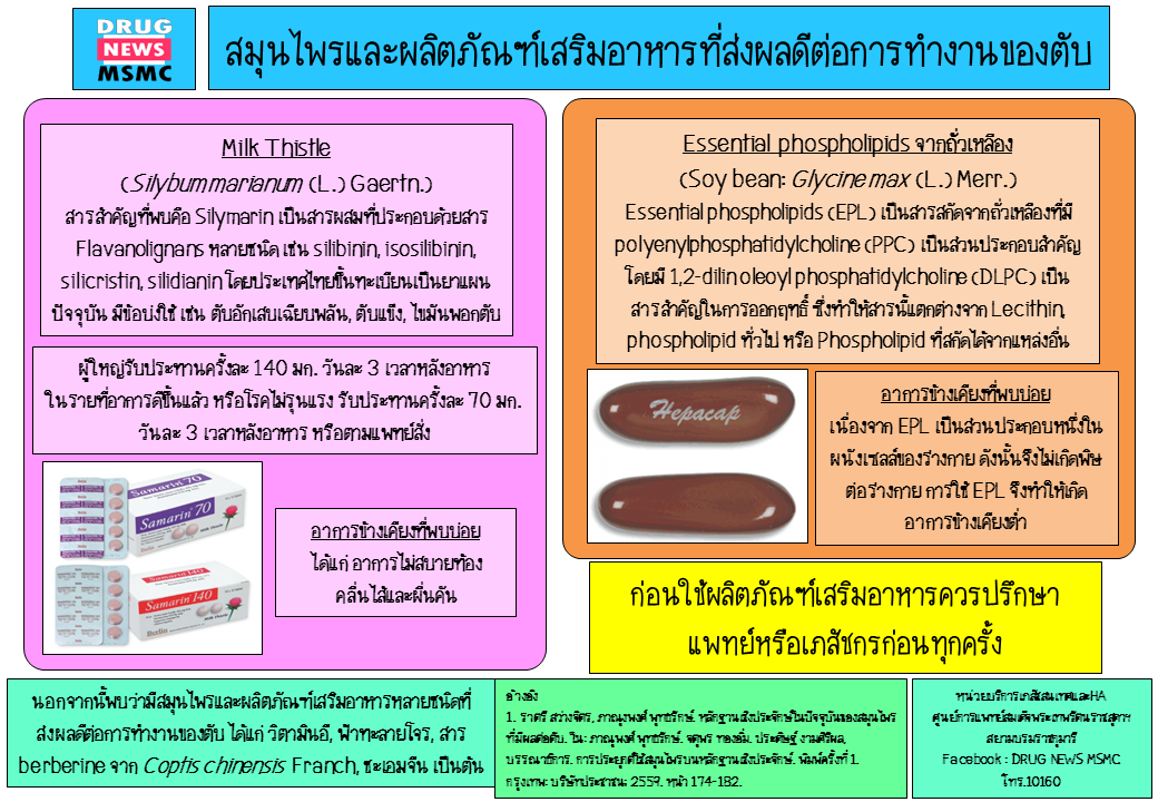 silymarin phospholipid