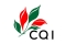 CQI พัฒนาระบบเรียกเก็บค่าผ่าตัดเตรียมเส้นเลือดเพื่อการฟอกไต 3 กองทุน