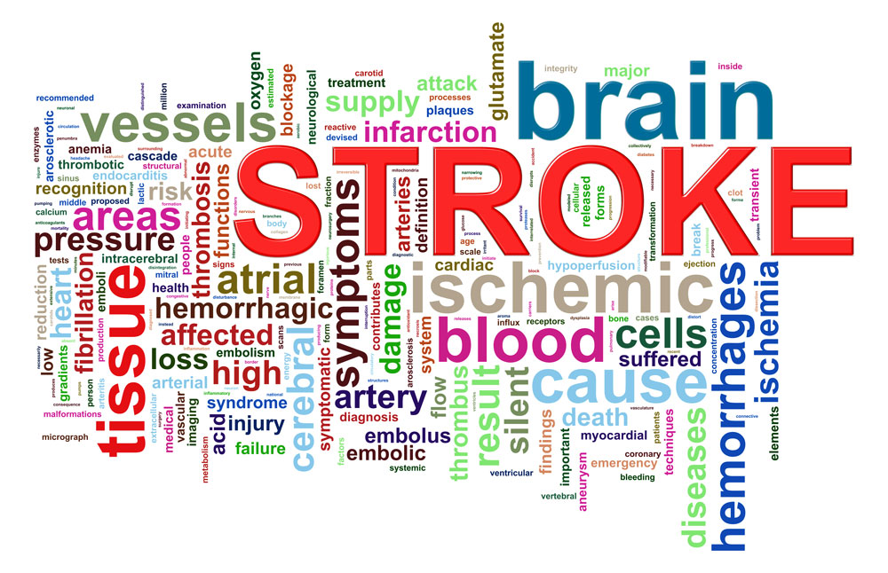 StrokePhraseLoRes