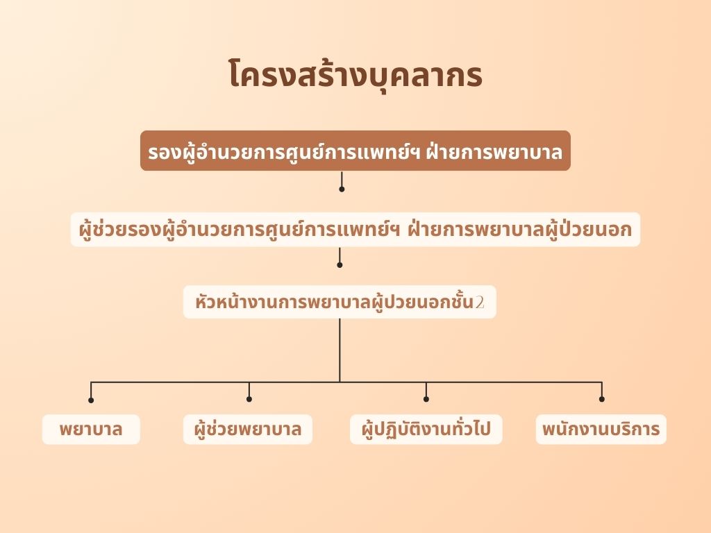 Organization Chart2