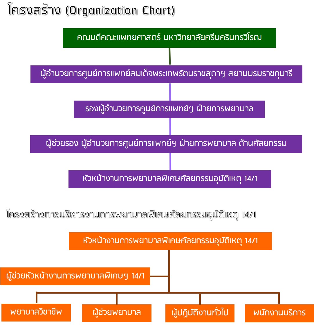 organization chart