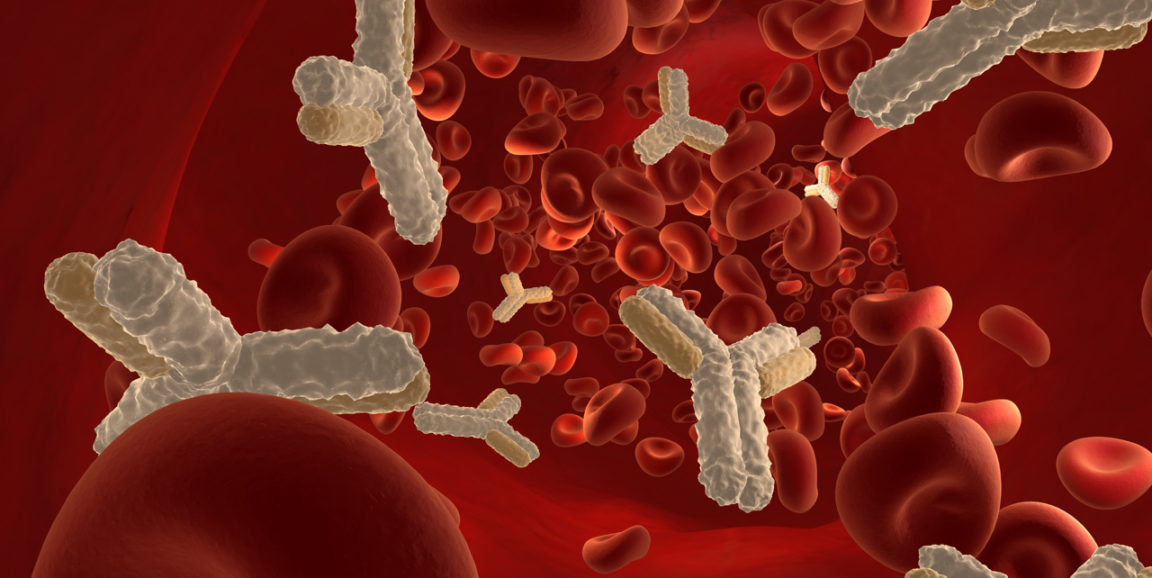 blood-cells.jpg