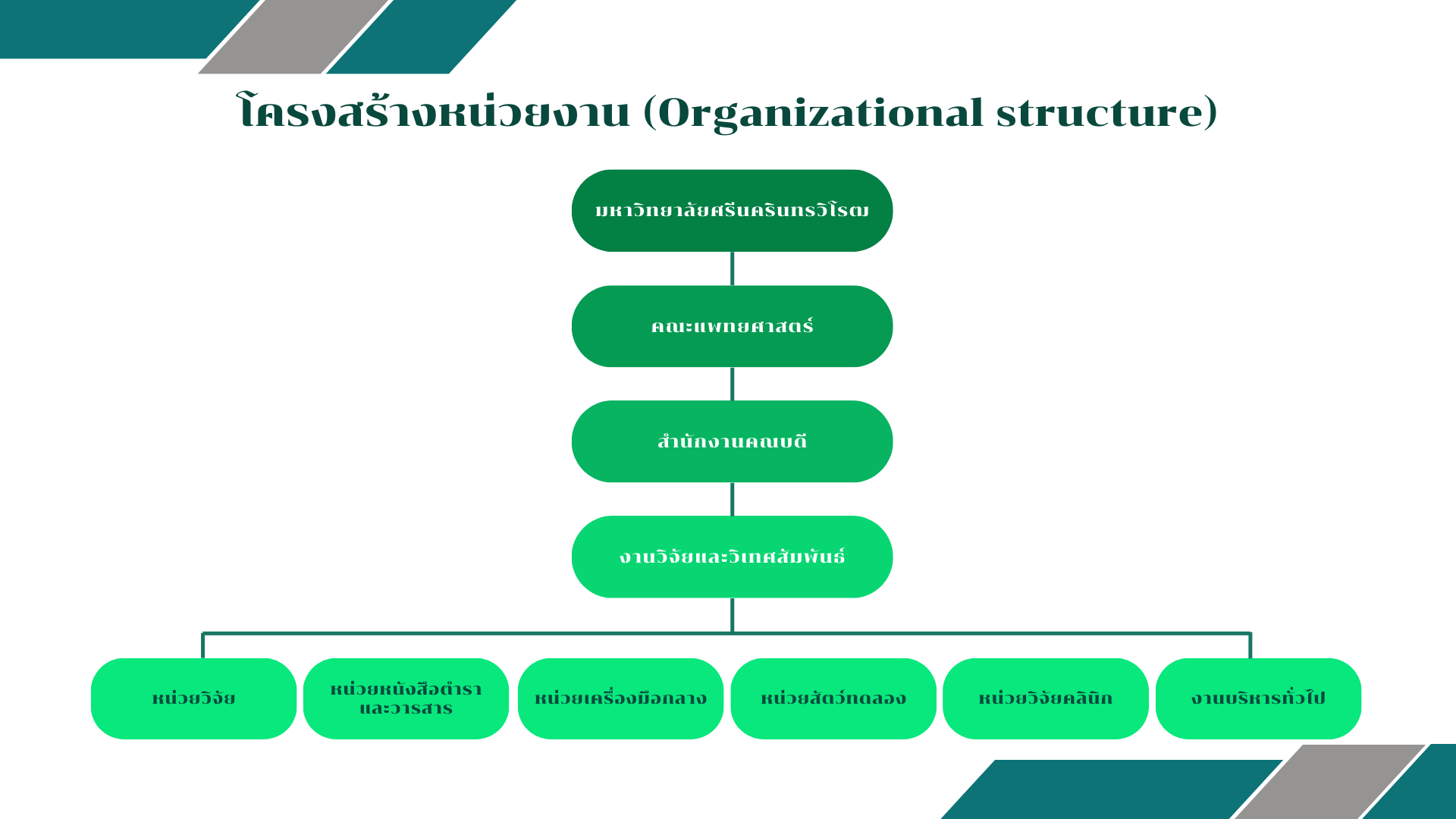 Organizational structure01