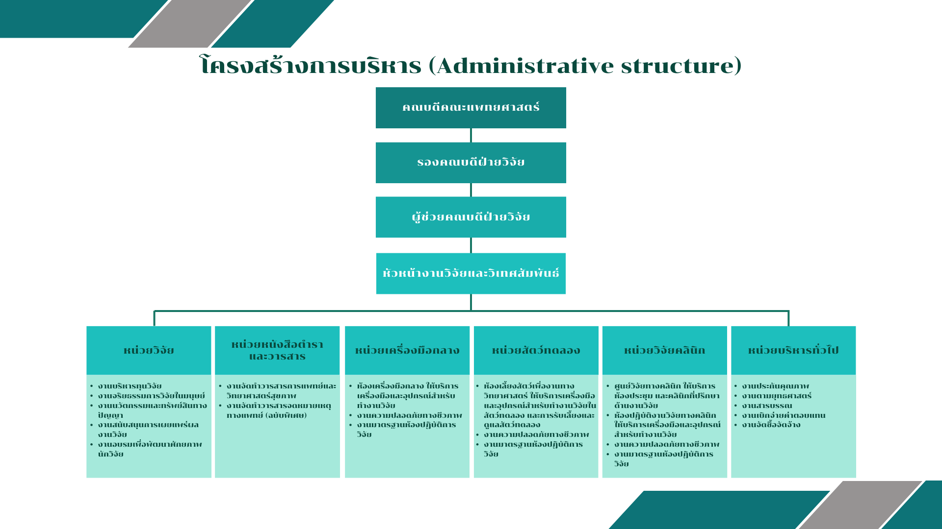 Organizational structure02
