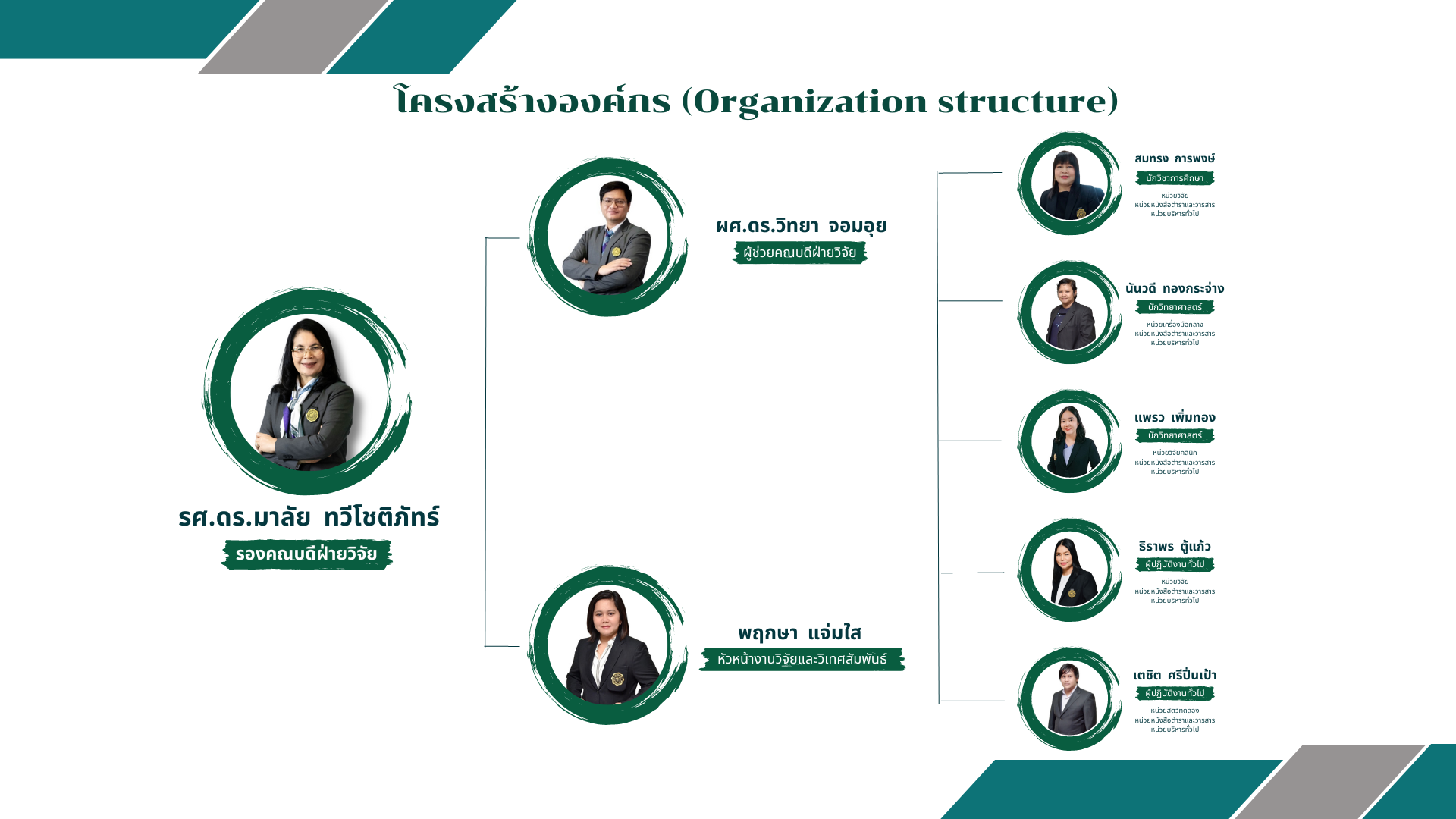 Organizational structure03