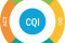 Continuous Quality Improvement (CQI)